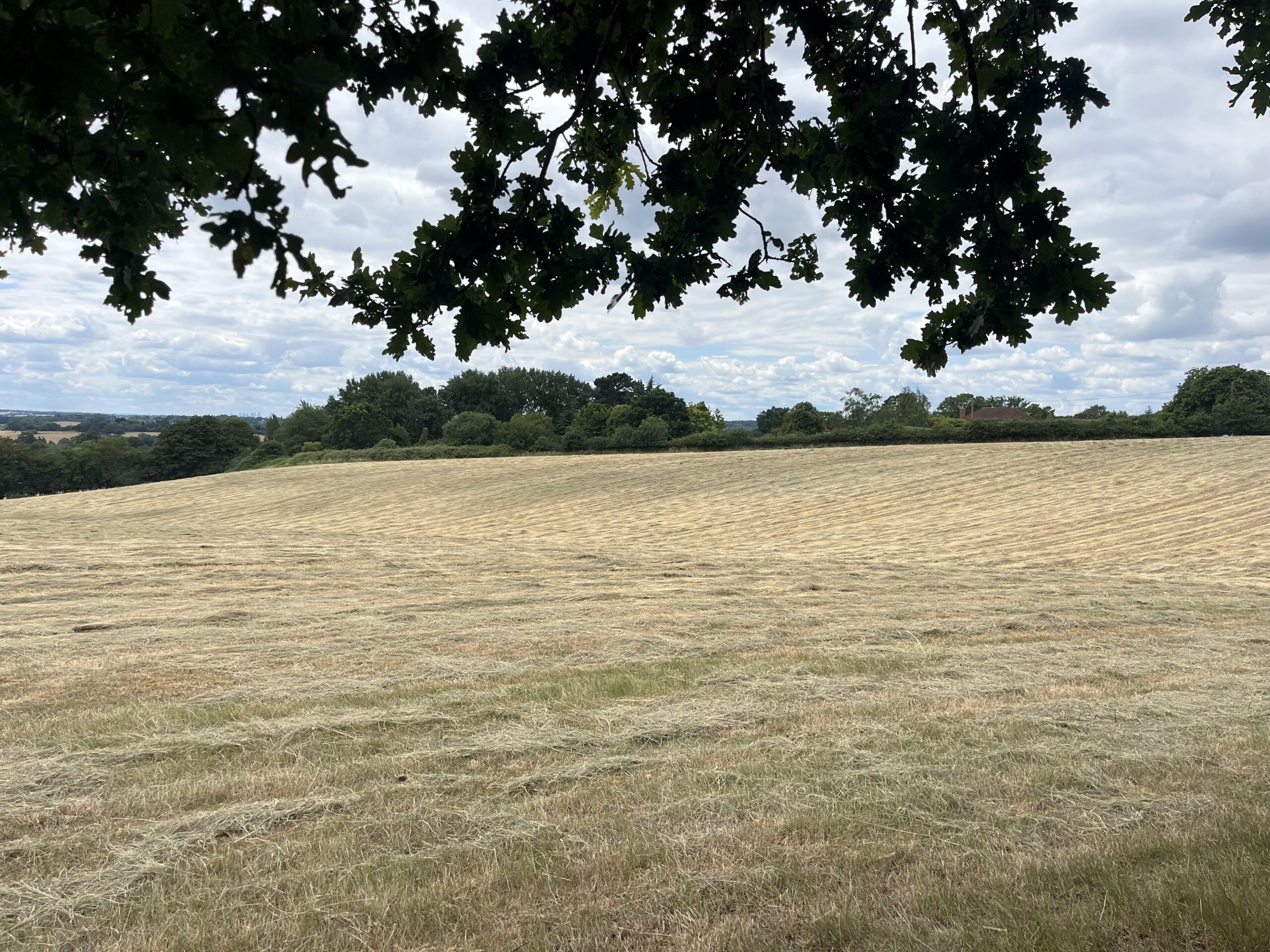 Farmers have been amongst the most active buyers as the East of England has seen a rise in farmland for sale